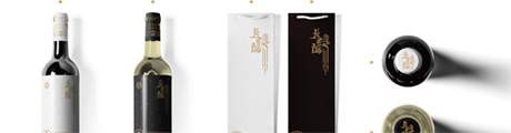 長(zhǎng)壽醋(臭屁醋)包裝設(shè)計(jì) 作品展示